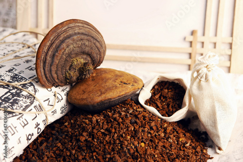 Herbal Medicine Ingredients Natural Mulberry Shanghang Mushroom
 photo