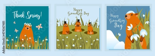 Happy groundhog day design with cute marmots. Marmot or beaver wild animal relax on nature vector illustration. Funny character. set of greeting cards. Vector illustration photo