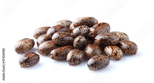 Castor oil seeds in closeup on white background photo