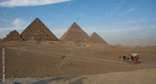 Egyptian wagon with horses against the background of the Egyptian pyramids in Giza
