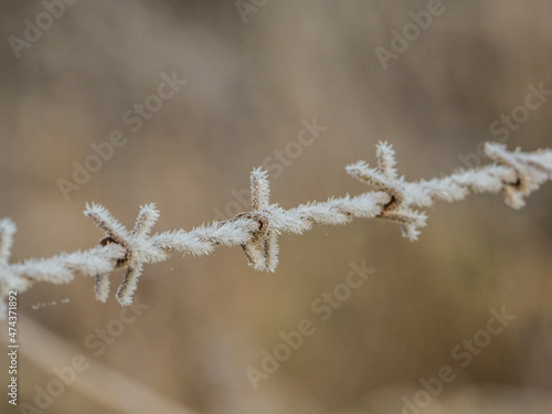 Stacheldrahtmit Frost © Marcel
