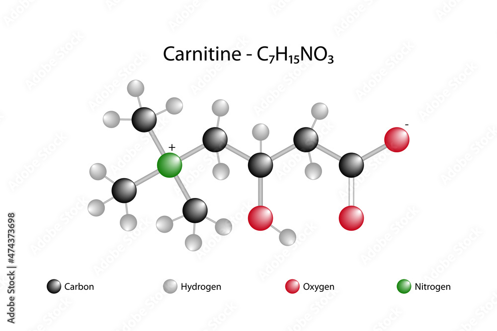 Molecular formula of carnitine. Carnitine is a quaternary ammonium