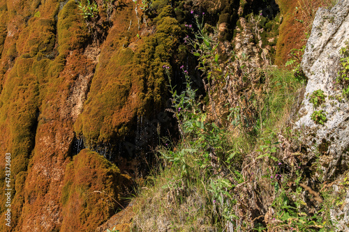 A small waterfall flows down the mossy rocks. Grishkina Balka, Karachay-Cherkess Republic, Russia © Aleksandr