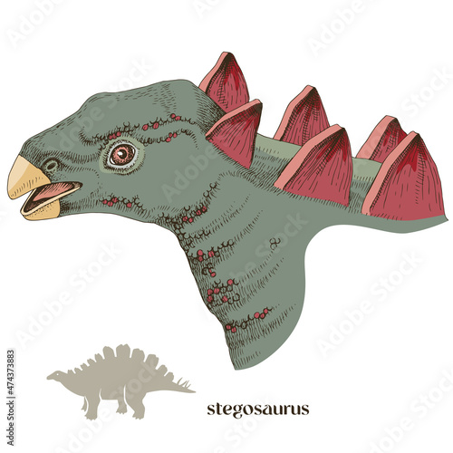 Hand drawn realistic dinosaurus Stegosaurus