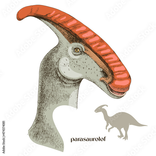Hand drawn realistic dinosaurus Parasaurolof