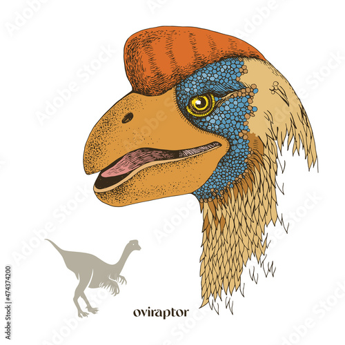 Hand drawn realistic dinosaurus Oviraptor