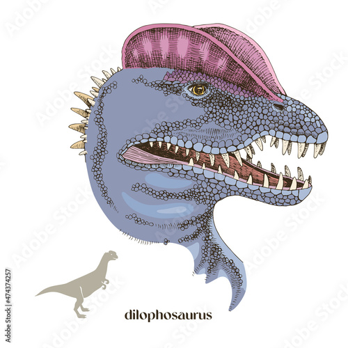 Hand drawn realistic dinosaurus Dilophosaurus