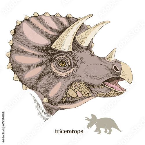 Hand drawn realistic dinosaurus Triceratops