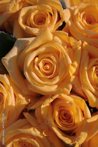 bouquet of orange roses