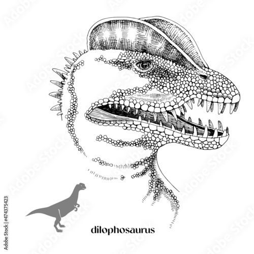 Hand drawn realistic dinosaurus Dilophosaurus