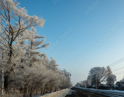 真冬の北海道の凍結道路と樹氷