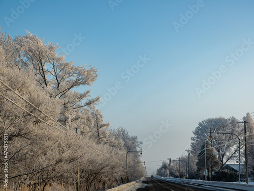 真冬の北海道の凍結道路と樹氷