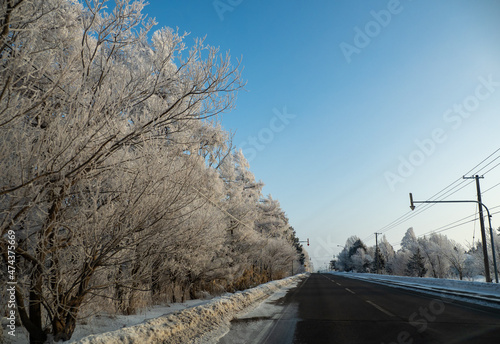 真冬の北海道の凍結道路と樹氷