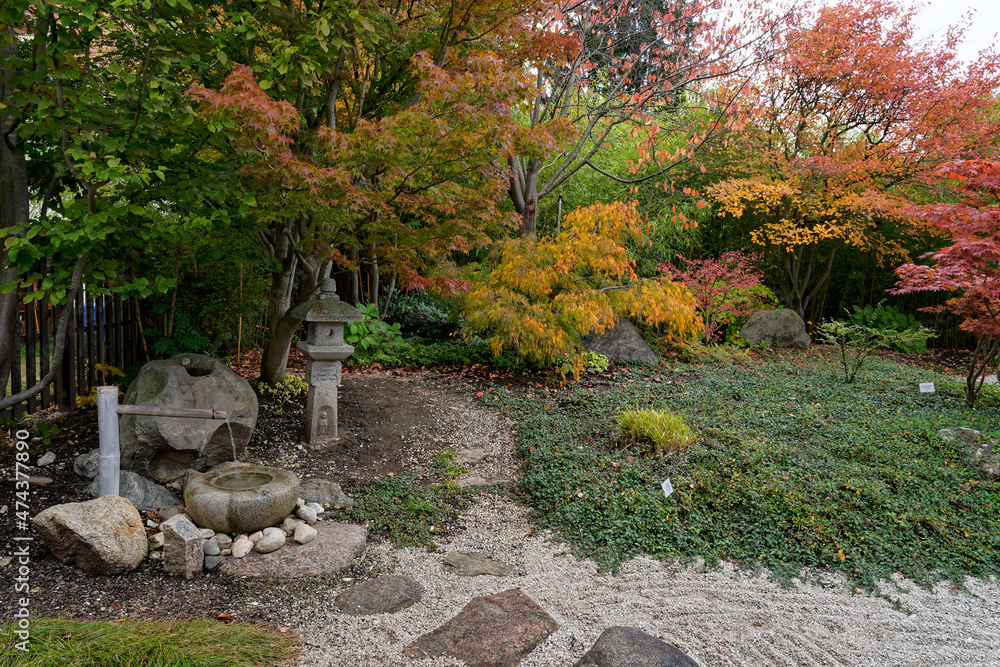 Der Japanische Garten im Schlosspark Moritzburg in Zeitz, Burgenlandkreis, Sachsen-Anhalt, Deutschland Der Japanische Garten im Schlosspark Moritzburg in Zeitz, Burgenlandkreis, Sachsen-Anhalt, Deutschland