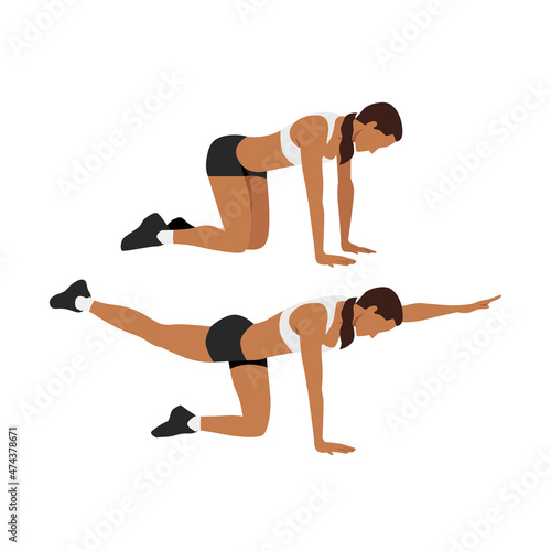 Woman doing bird dogs. alternating reach and kickbacks exercise flat vector illustration isolated on white background