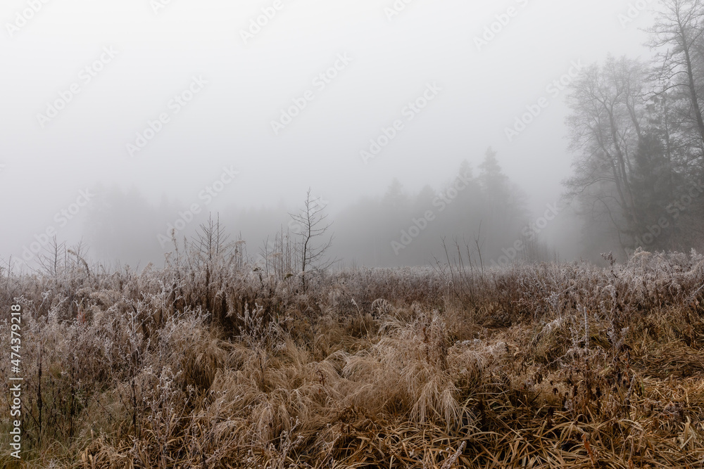 mist on the field mist on the field