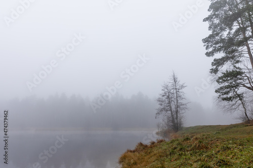 misty morning on the lake coast