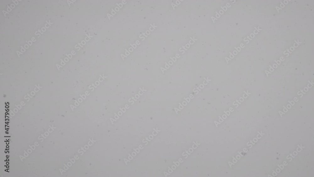 Slow motion falling snow against a grey winter sky. Slow motion falling snow against a grey winter sky.