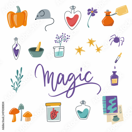 A set of items for the day of the celebration of all saints. lettering "Magic". Lizard potion concept. Pumpkin mouse various vessels with liquids. Vector isolated illustration