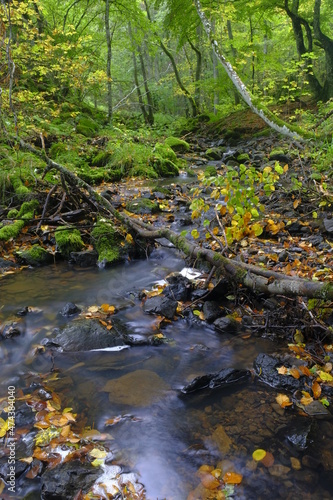 Der Schwarzbach am Holzberghof oberhalb der Stadt Bischofsheim a.d.Rhön, Biosphärenreservat Rhön, Landkreis Rhön-Grabfeld, Unterfranken, Franken, Bayern, Deutschland