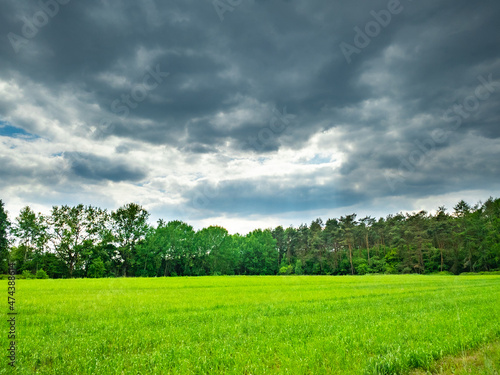 green field and sky © Hristo Shanov