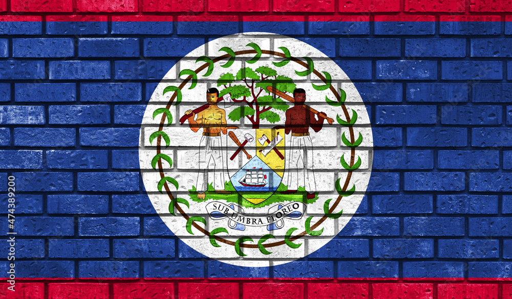 Belize flag on a brick wall