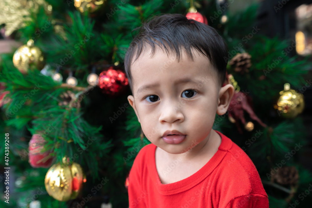 Merry Christmas and happy holidays. Portrait of a funny happy boy. Christmas in COVID 19 Concept Merry Christmas and happy holidays. Portrait of a funny happy boy. Christmas in COVID 19 Concept