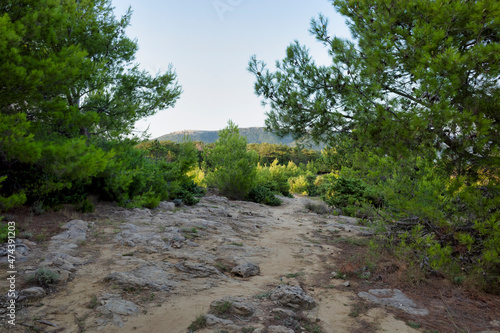 Mountain trail. Mountain nature by the Adriatic Sea, Croatia