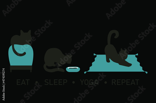 Three cats on a white background. Eat, sleep, yoga, repeat.