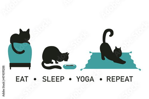 Three cats on a white background. Eat, sleep, yoga, repeat.