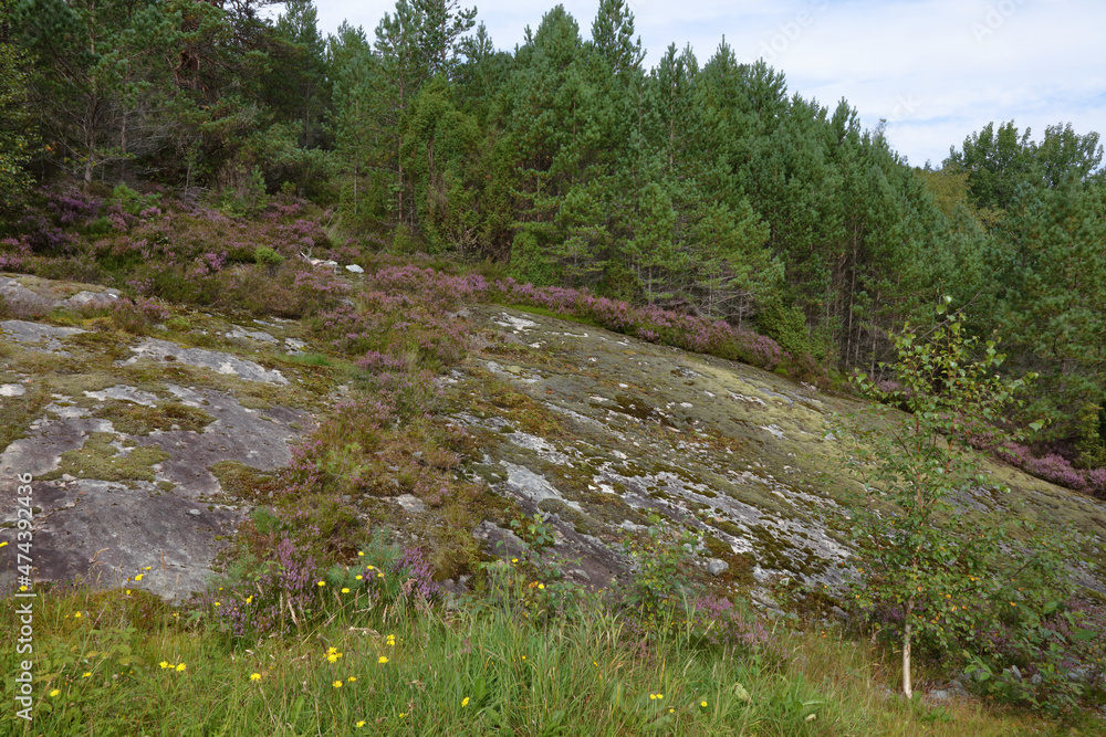 Norwegen - Felsen nahe Nordrevik und Vadheim / Norway - Rock near Nordrevik und Vadheim /