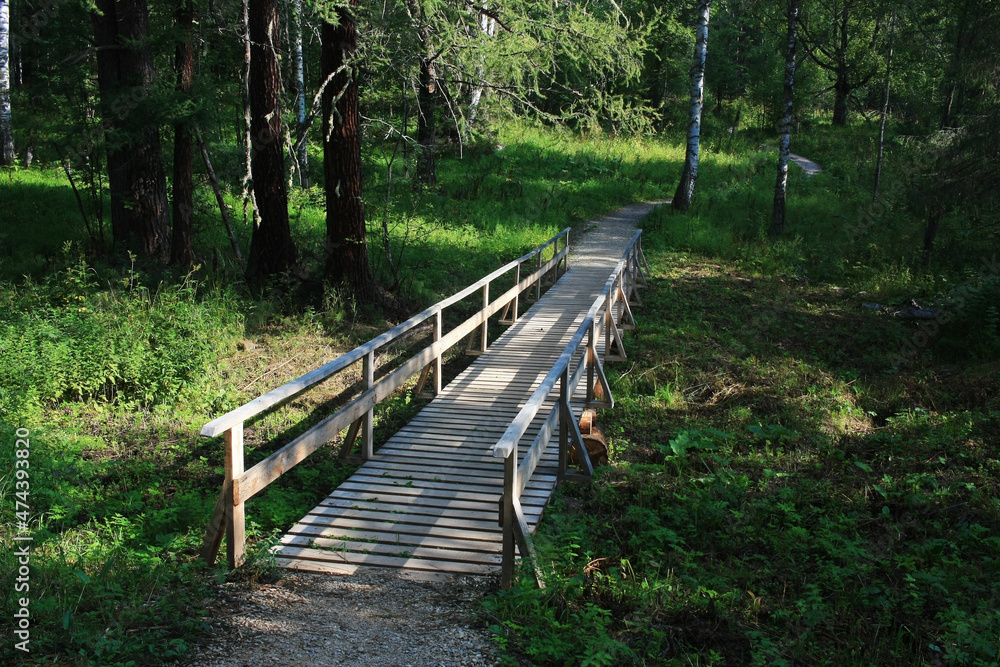 Wooden pedestrian bridge in the forest Wooden pedestrian bridge in the forest