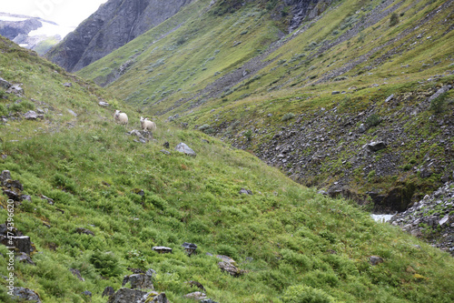 Wallpaper Mural Norwegen - Landschaft nahe Fresvik / Norway - Landscape near Fresvik / Torontodigital.ca