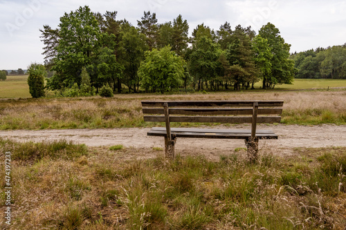 A bench with a view at the landscape of the Lueneburg Heath near Oberhaverbeck, Lower Saxony, Germany
