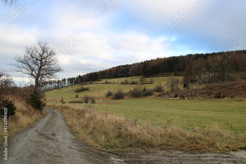 Winterwanderung im Harz, Förster-Stieg (Hiking in the winter season in the Harz Mountains) | Quellwiesenbiotop Reinbach bei Goslar