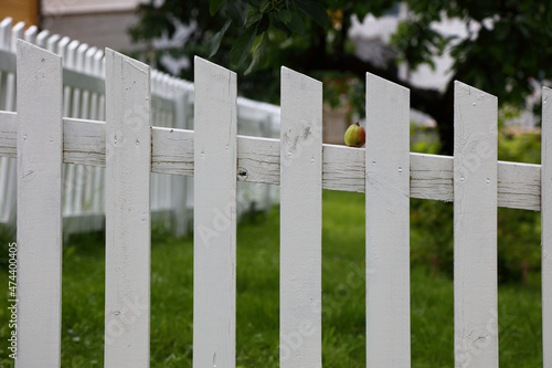Gartenzaun mit Apfel / Garden fence with Apple /