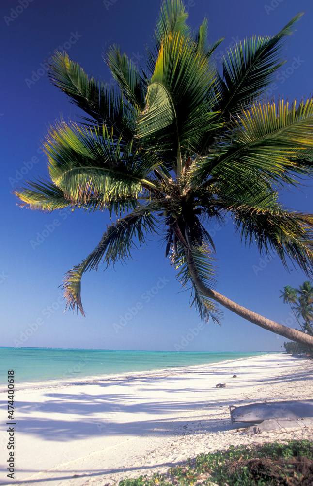 Obraz premium ZANZIBAR BWEJUU EASTCOAST LANDSCAPE