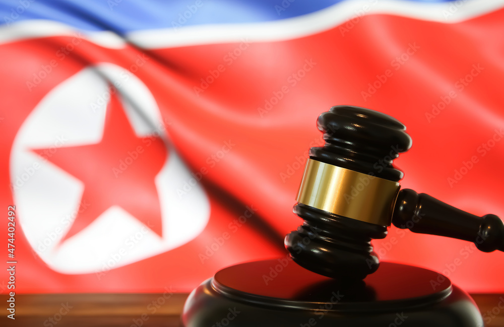 Closeup of isolated judge wood gavel with blurred north korea flag background (focus on hammer head)