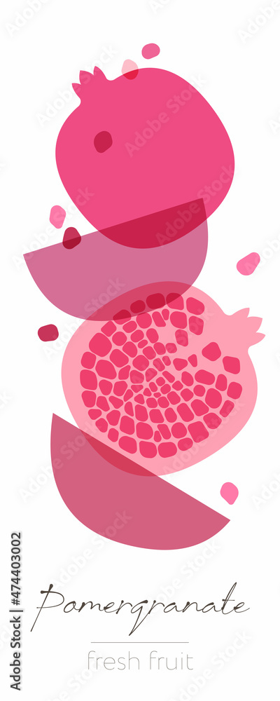 Pomegranate Fruits. Flat illustration. Beautiful transparent whole and cut fruits.
