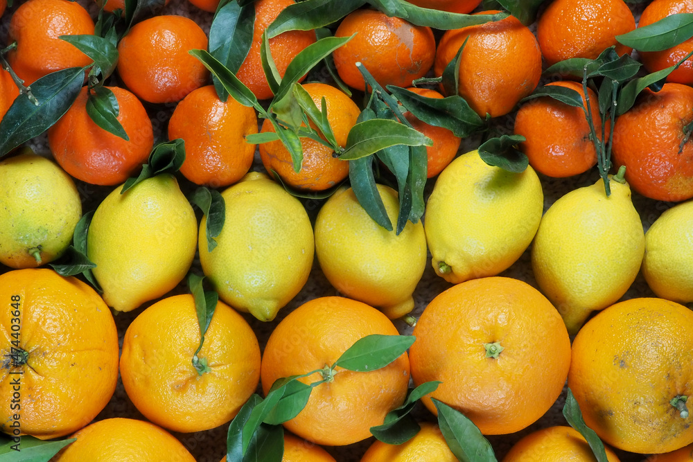 Citrus fruits close-up. Oranges, lemons and tangerines. Background Citrus fruits close-up. Oranges, lemons and tangerines. Background