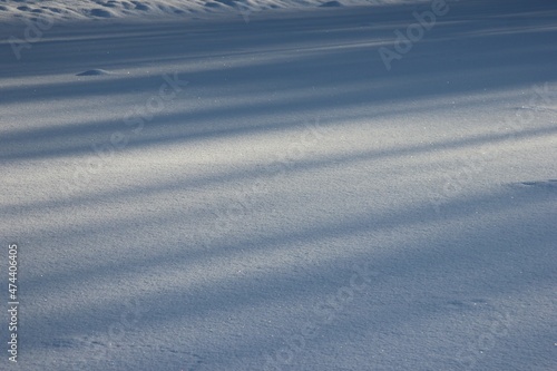 smooth snow surface and tree shadows on it