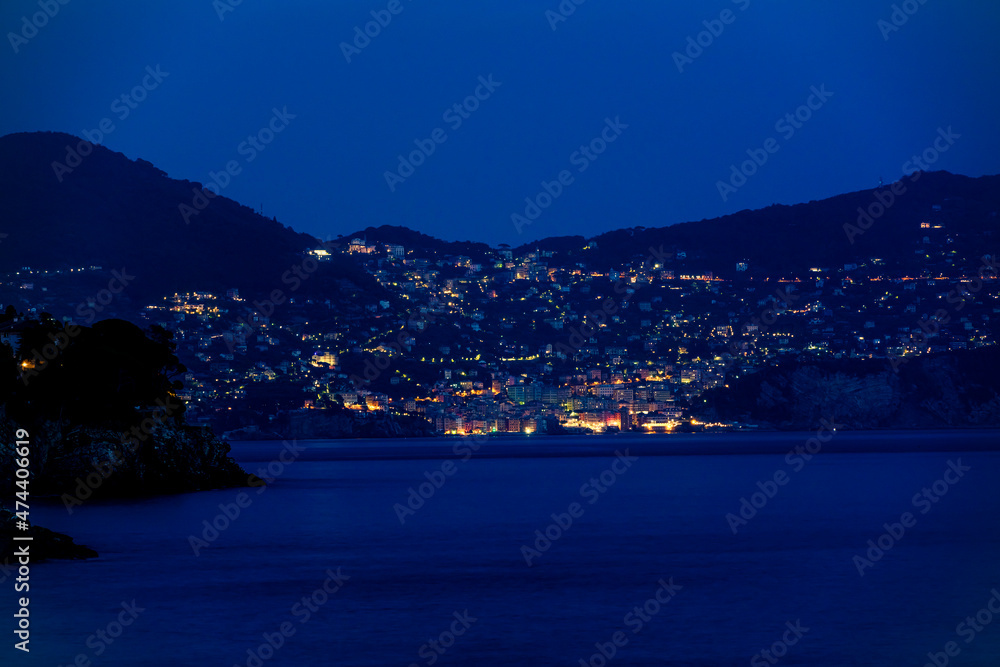 View of Camogli city from the sea at night