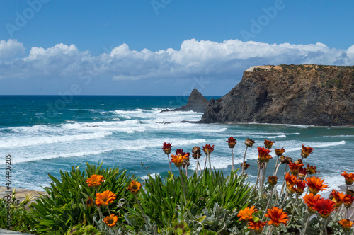 Spring flowers on Atlantic coast, Portugal