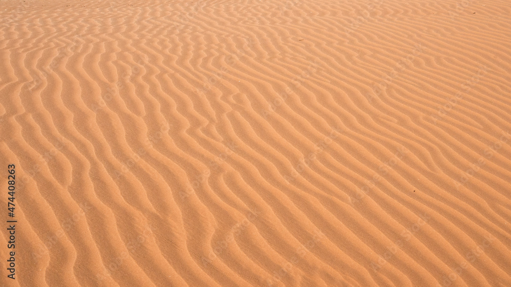 Natural sandy waves in the Namib desert. Background. Natural sandy waves in the Namib desert. Background.