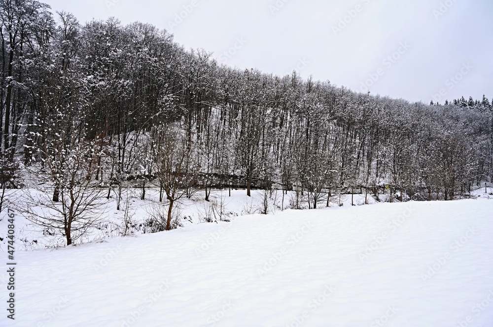 Beautiful snowy landscape. Winter nature - seasonal concept. Beautiful snowy landscape. Winter nature - seasonal concept.