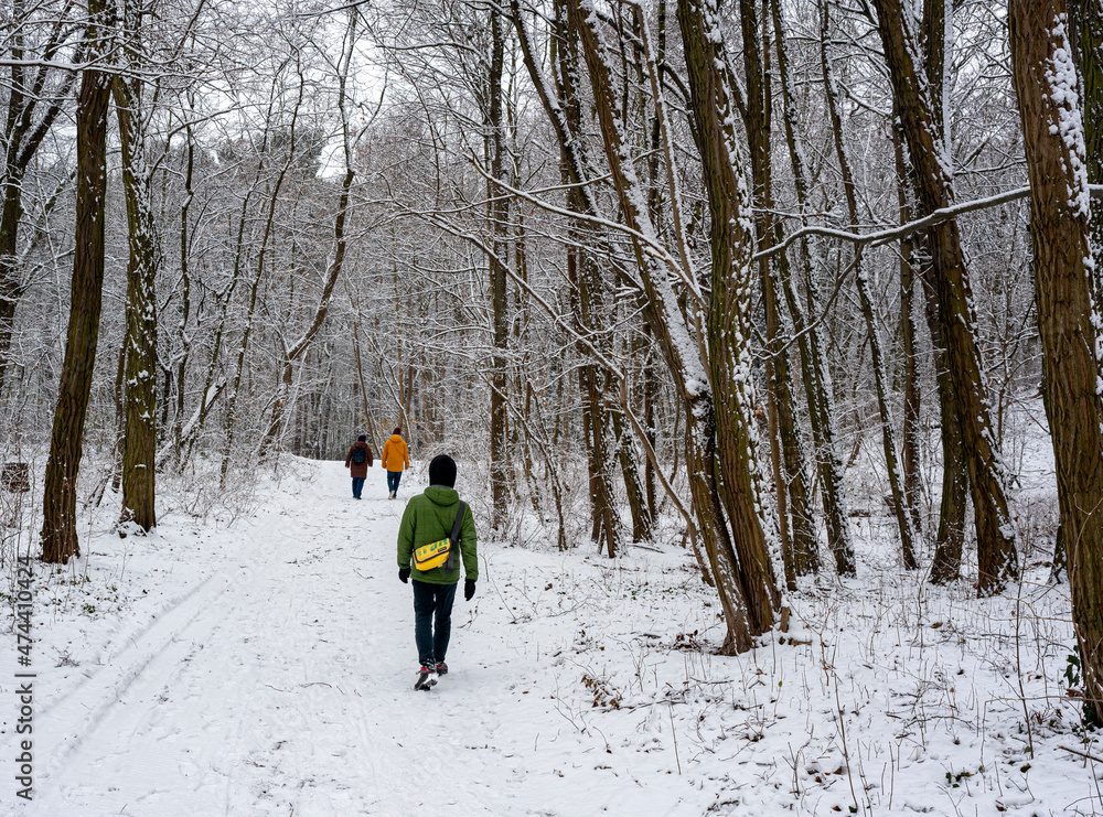 Spaziergänger, Radfahrer  und Jogger im winterlich verschneiten Berliner Tiergarten Park