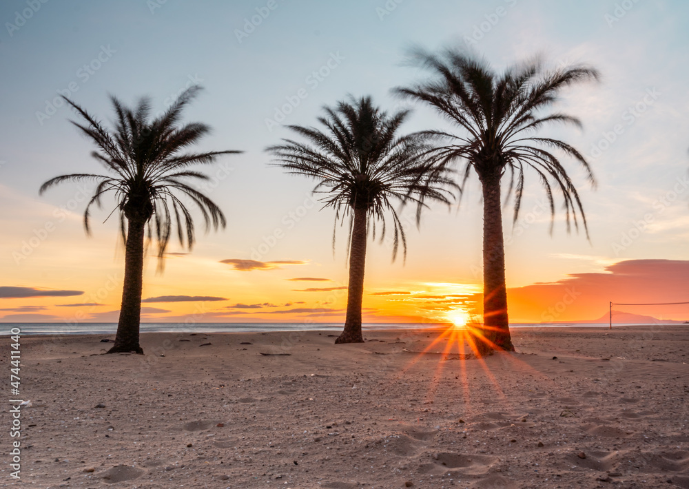 Sunrise or sunset on an empty beach with palm trees.