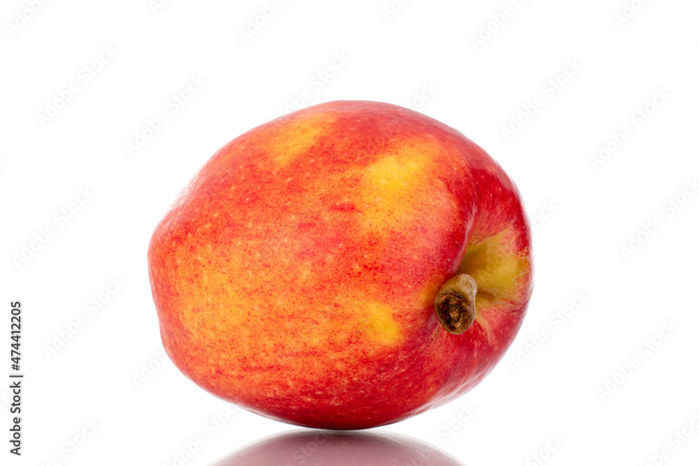 One ripe juicy apple, close-up, isolated on white. One ripe juicy apple, close-up, isolated on white.