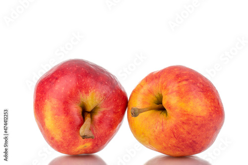 Two ripe juicy apples, close-up, isolated on white.