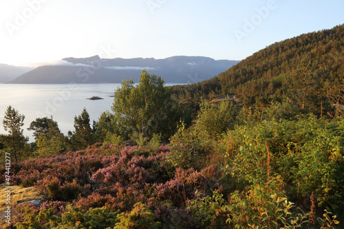 Norwegen - Sognefjord bei Nordrevik   Norway - Sognefjorden near Nordrevik  